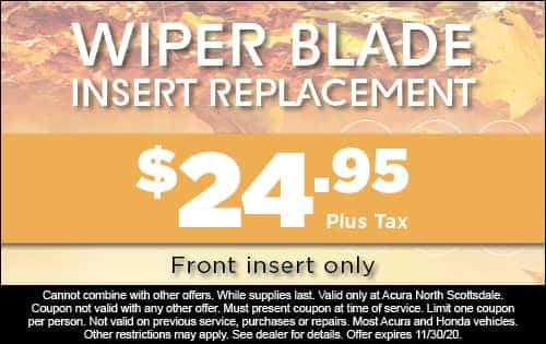 Wiper Blade Insert Replacement - $24.95 front insert only