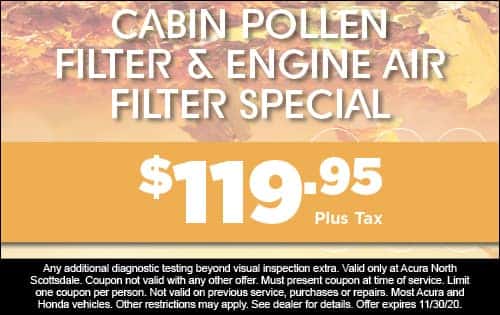 Cabin pollen filter & engine air filter special