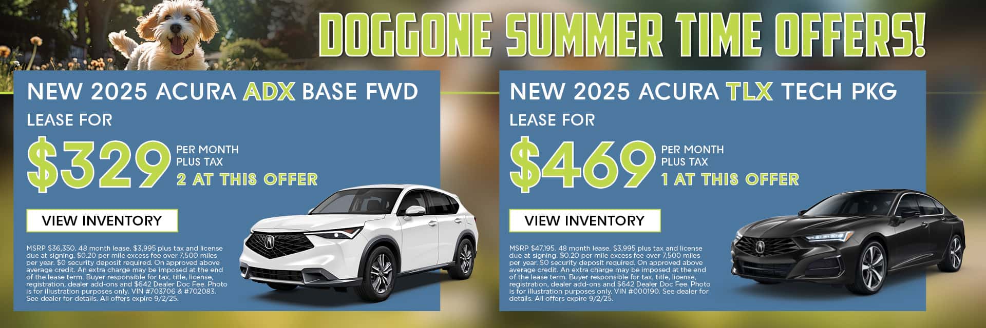 August ADX and TLX Offer