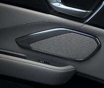 Premium Audio System