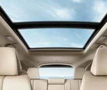 Multi-View Rear Camera