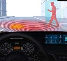 Pedestrian Detection*