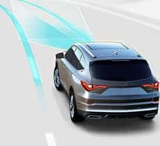 Lane Keeping Assist System (LKAS)*