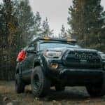 Low Angle Shot of a Jeep in a Forest Glade