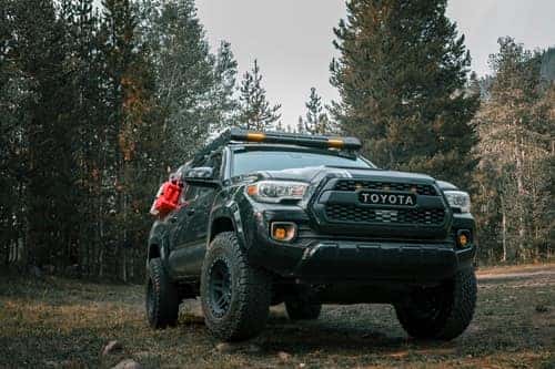 Low Angle Shot of a Jeep in a Forest Glade
