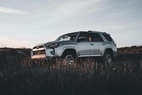 Silver Toyota 4Runner in a Meadow