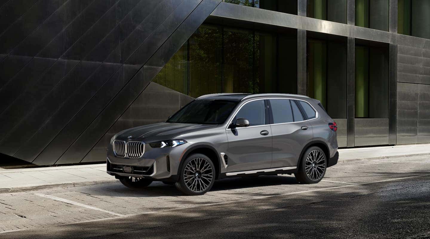 2025 BMW X5 Side Exterior