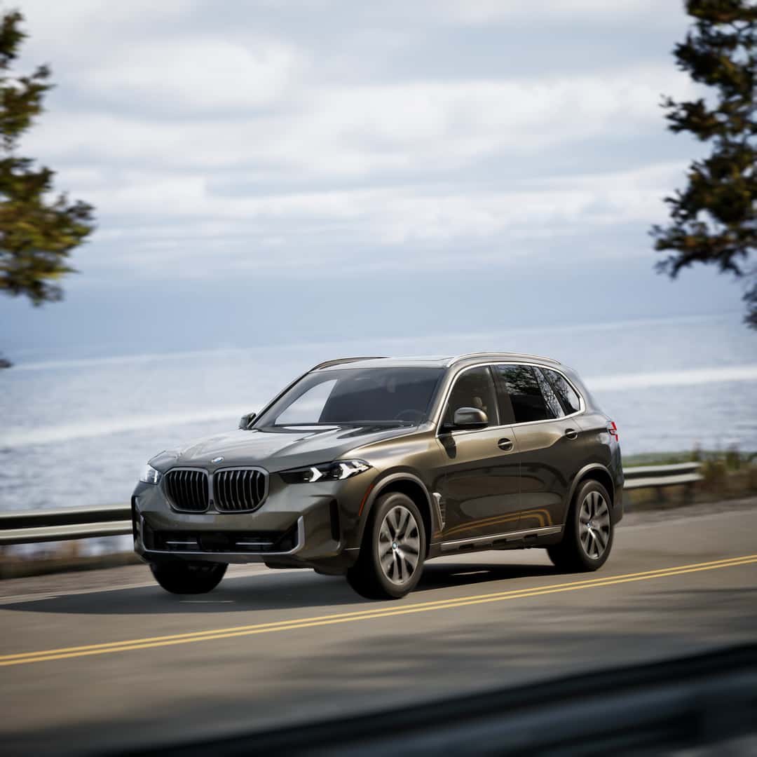 2026 BMW X5 in Manhattan Green
