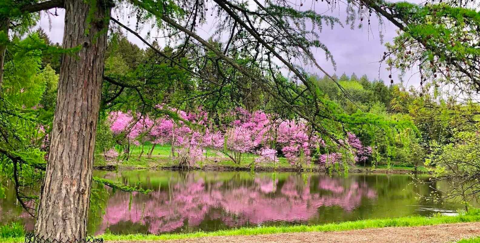5 MOST UNDERRATED HIKING TRAILS NEAR BILL JACOBS MINI