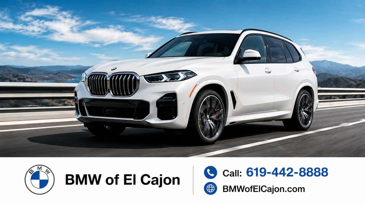 BMW X5 vs Tesla Model Y