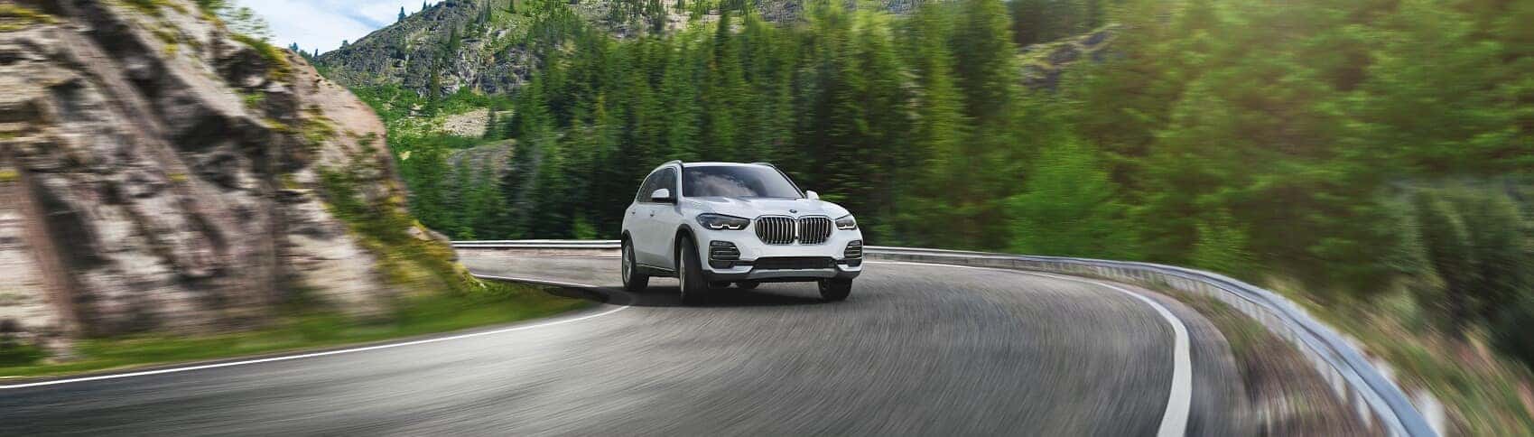 BMW SUVs near Ardsley NY.