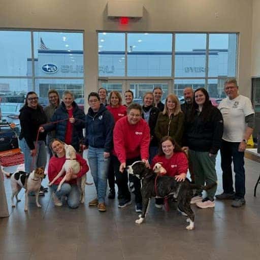 Team members with dogs up for adoption