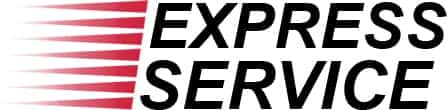 Nissan Express Service Logo