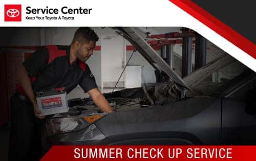 Summer Check Up for $29.95