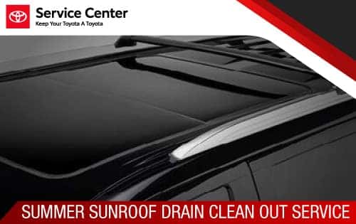Sunroof Drain $99.95