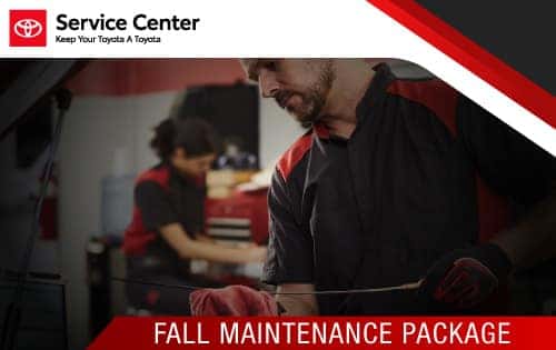 FALL MAINTENANCE PACKAGE
