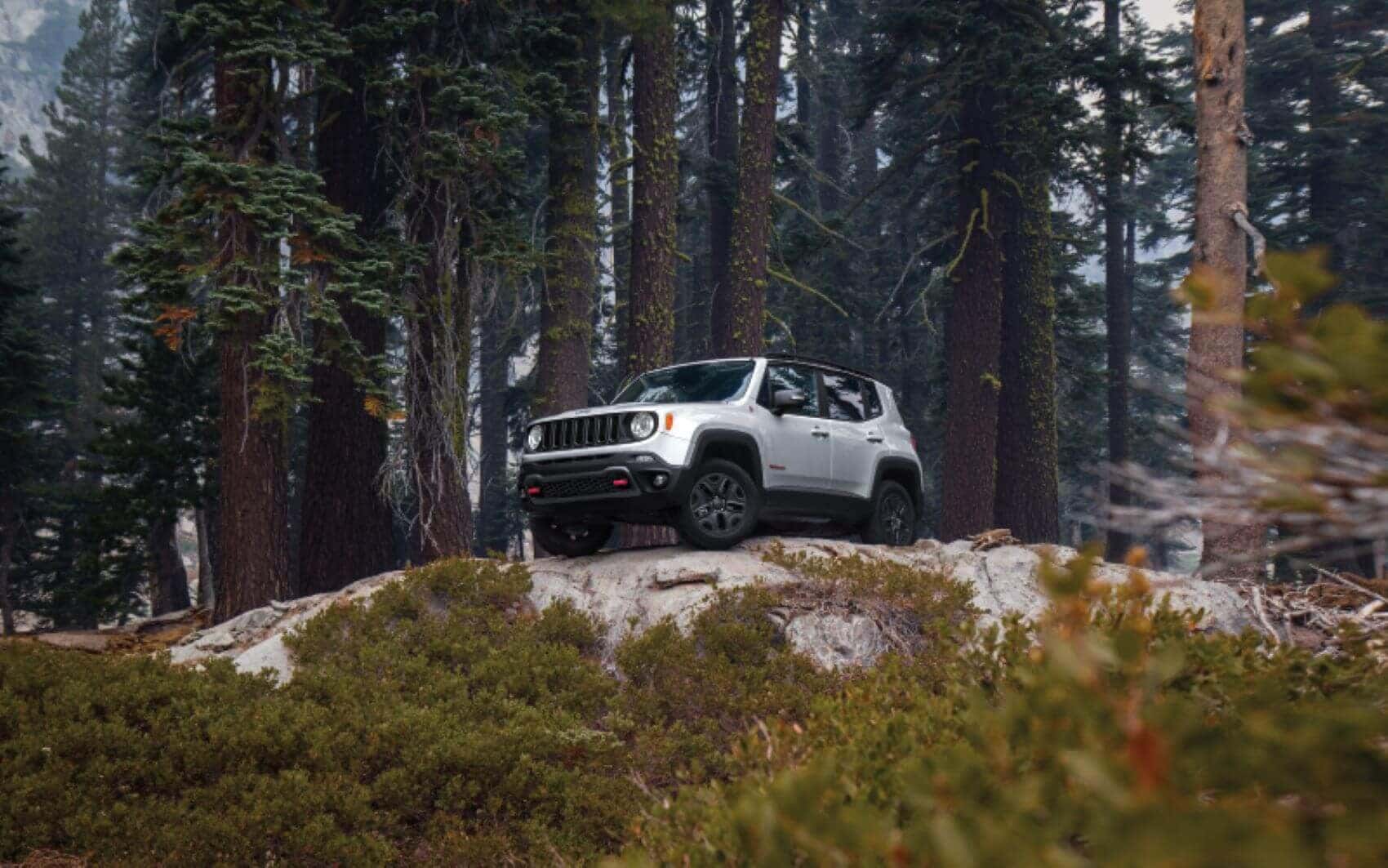  Jeep Renegade in Forest