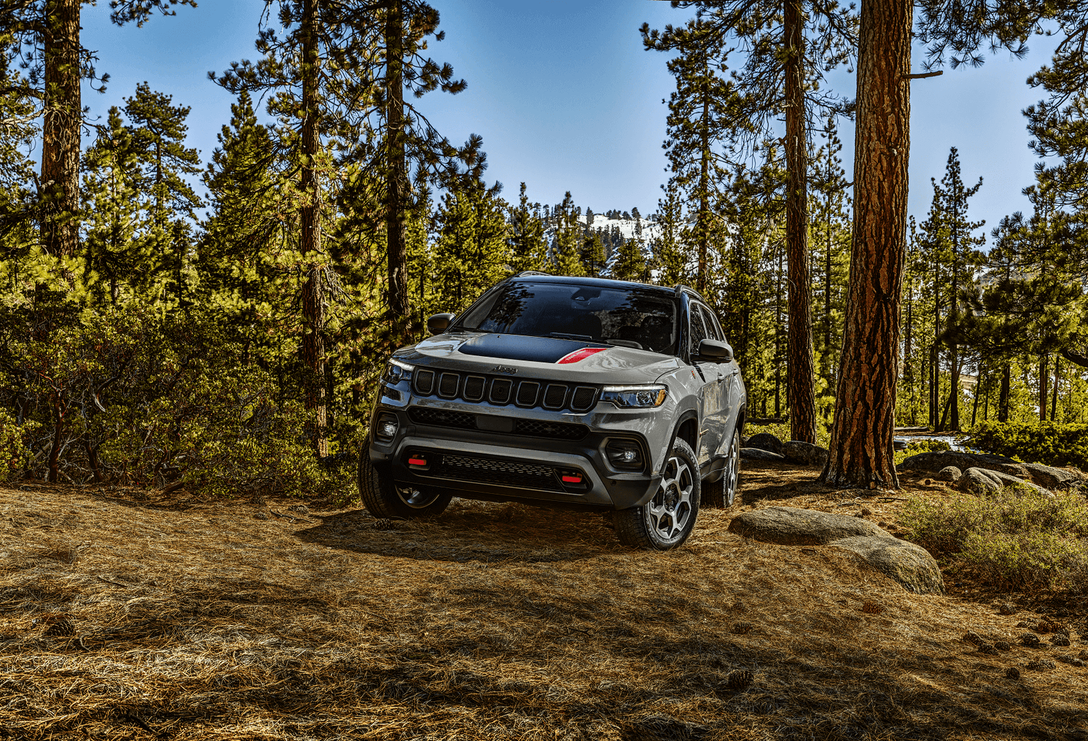 Jeep Compass Romeo MI