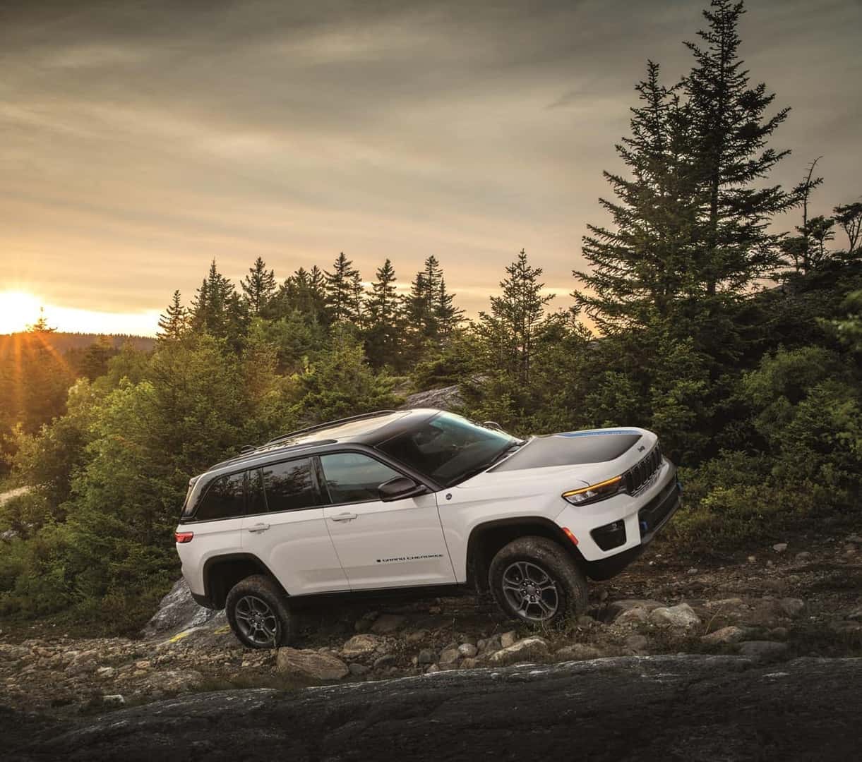 Jeep Grand Cherokee parked on side of wooded road from Jeep Dealer Port Huron MI