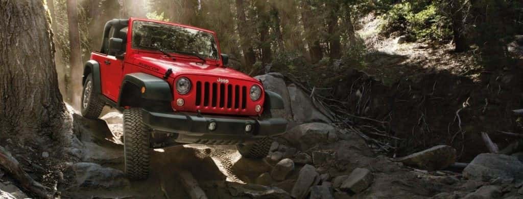 2017 Jeep Wrangler Rubicon near Schaumburg IL