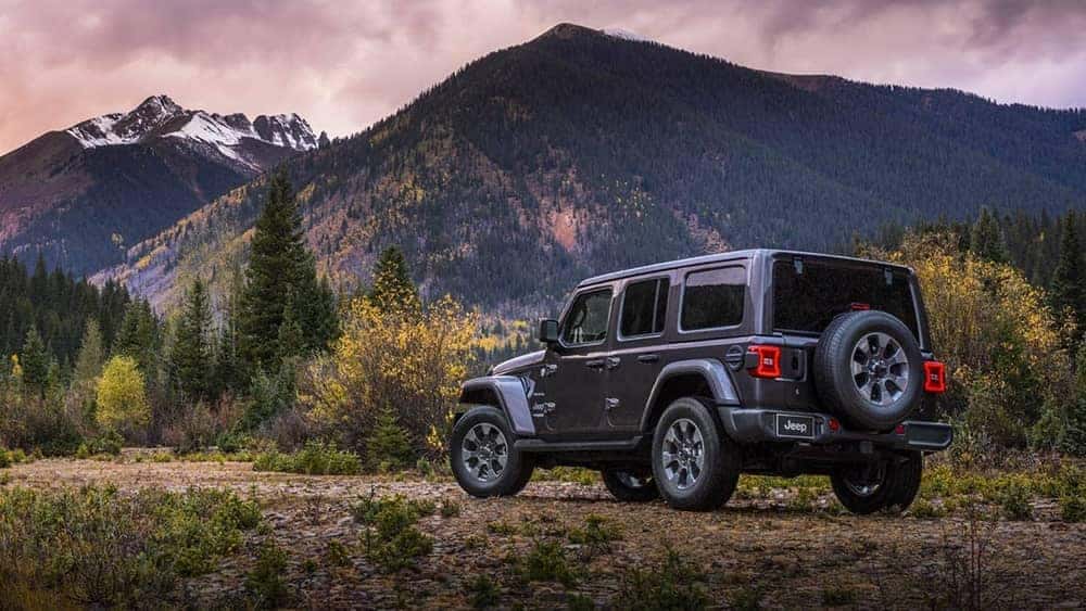 rear exterior of 2019 Jeep Wrangler