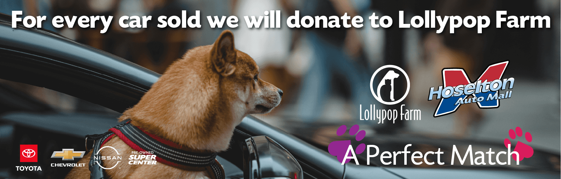 Lollypop Farm Animal Adoption Event Banner