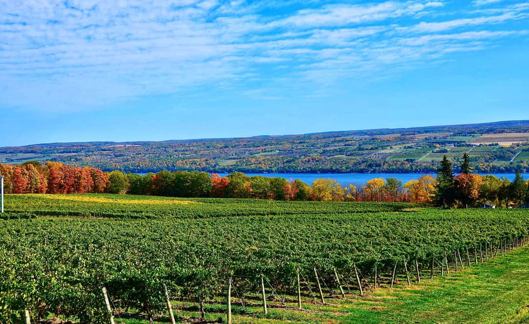 finger-lakes-wine