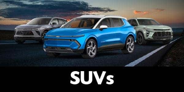 EV or truck option 2