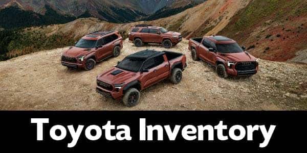 EV or truck option 2