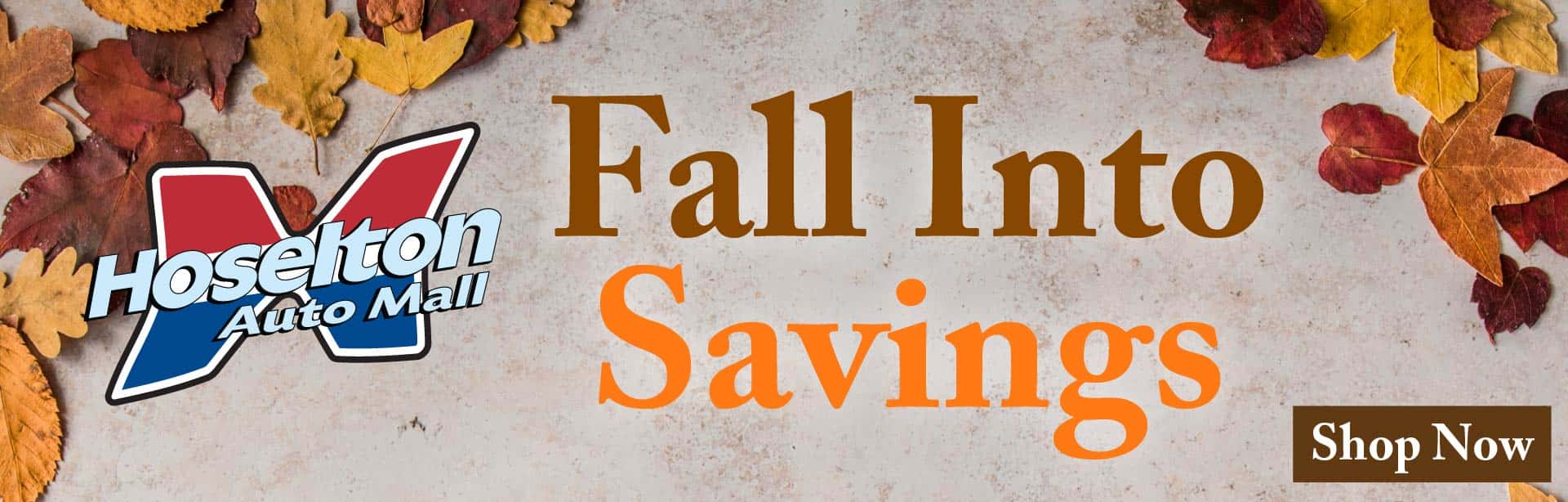 FallSavings_HoseltonBanner