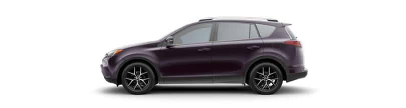 Black Currant Metallic