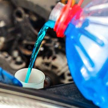 Anti-Freeze Drain & Fill Special
