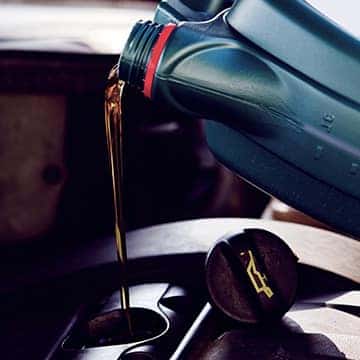 Synthetic Oil Change Special