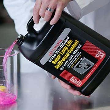 Anti-Freeze Special