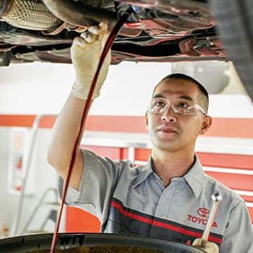 Synthetic Oil Change Special