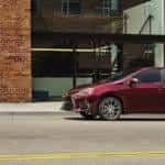 twc-corolladog