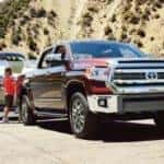 twc 1794tundra