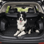 Dog in cargo area of SUV