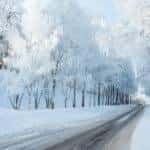 Snowy Road