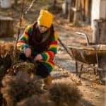 woman pruning