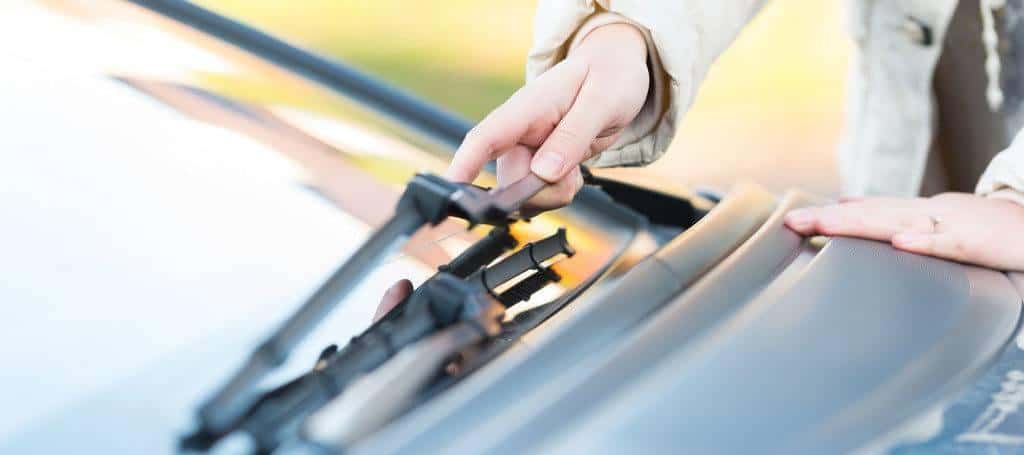 Windshield Wipers