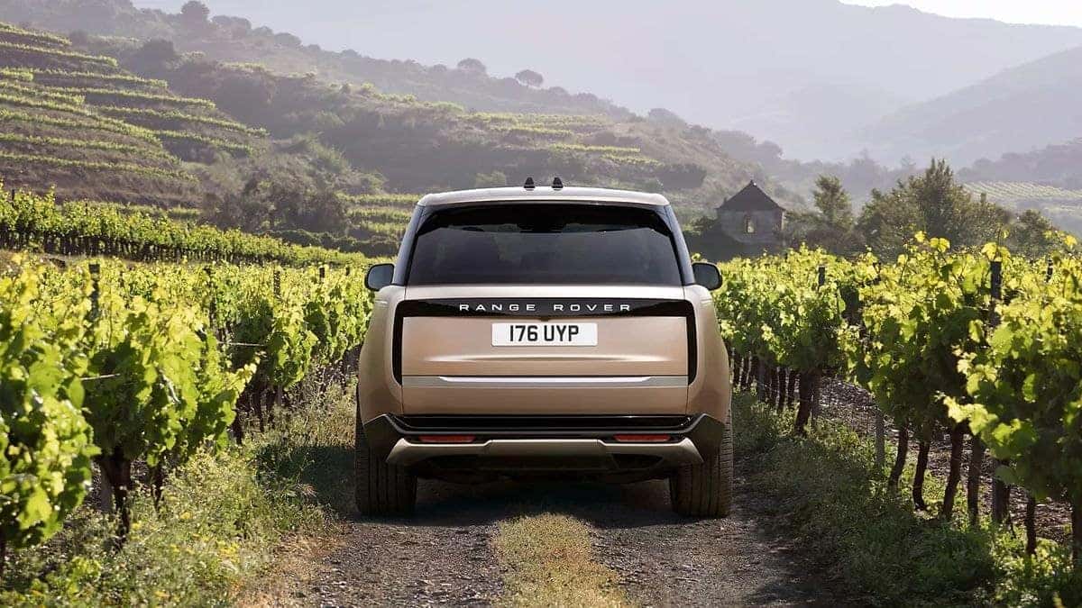 2026 Land Rover Range Rover driving down a rural road between vineyards