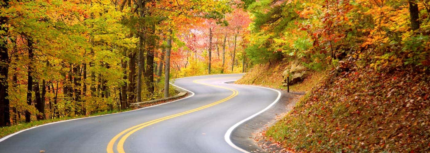 Scenic Drives in West Virginia | Scenic Roads in West Virginia