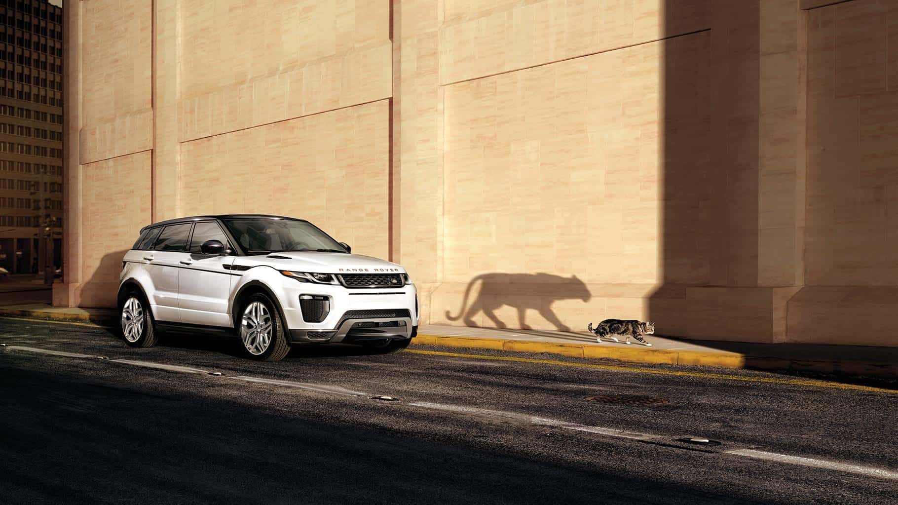 2017 Land Rover Range Rover Evoque Info Land Rover Paramus