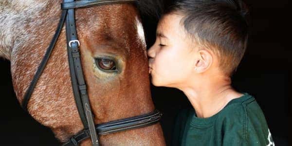 Sprout Therapeutic Riding Center