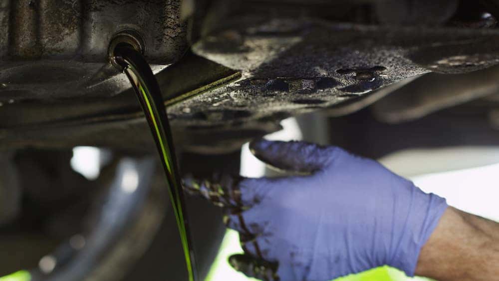 Volkswagen jetta store oil change cost