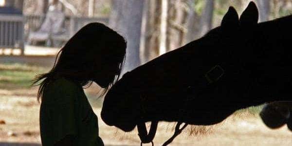 Horse and woman in shadow