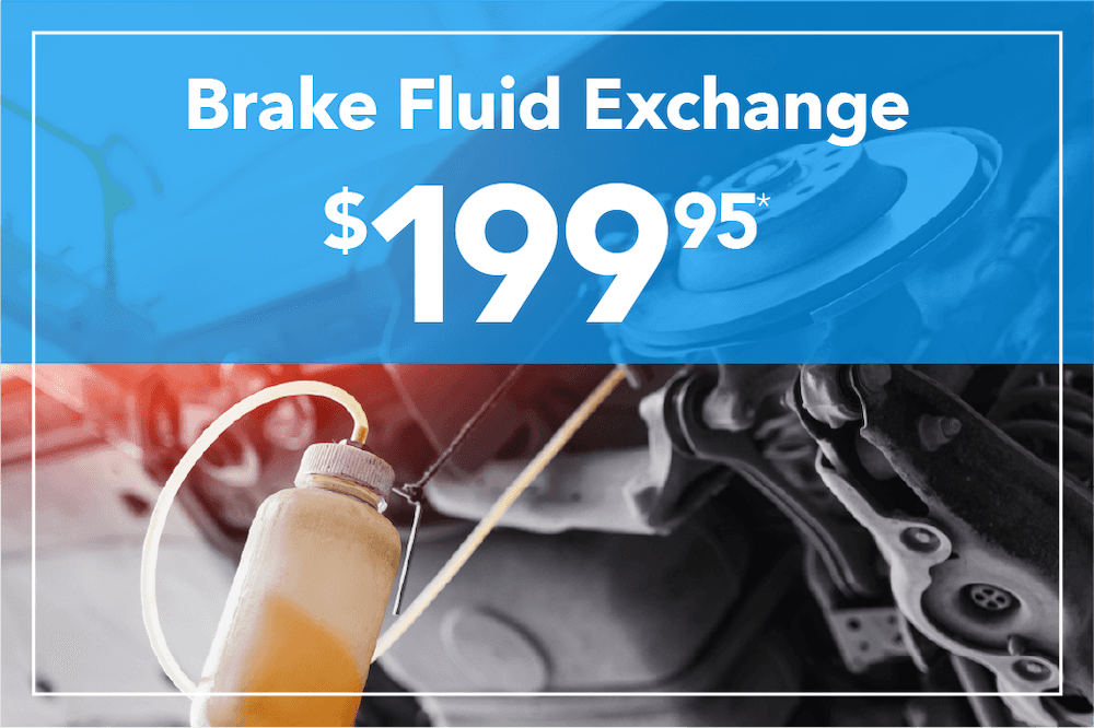 Brake Fluid Exchange $199.95