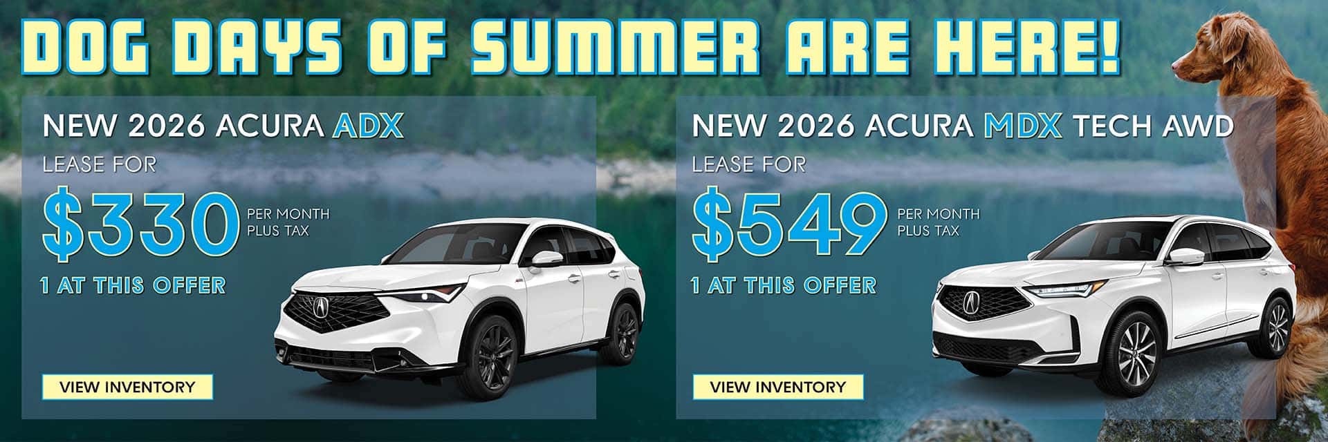 ADX/MDX Offer