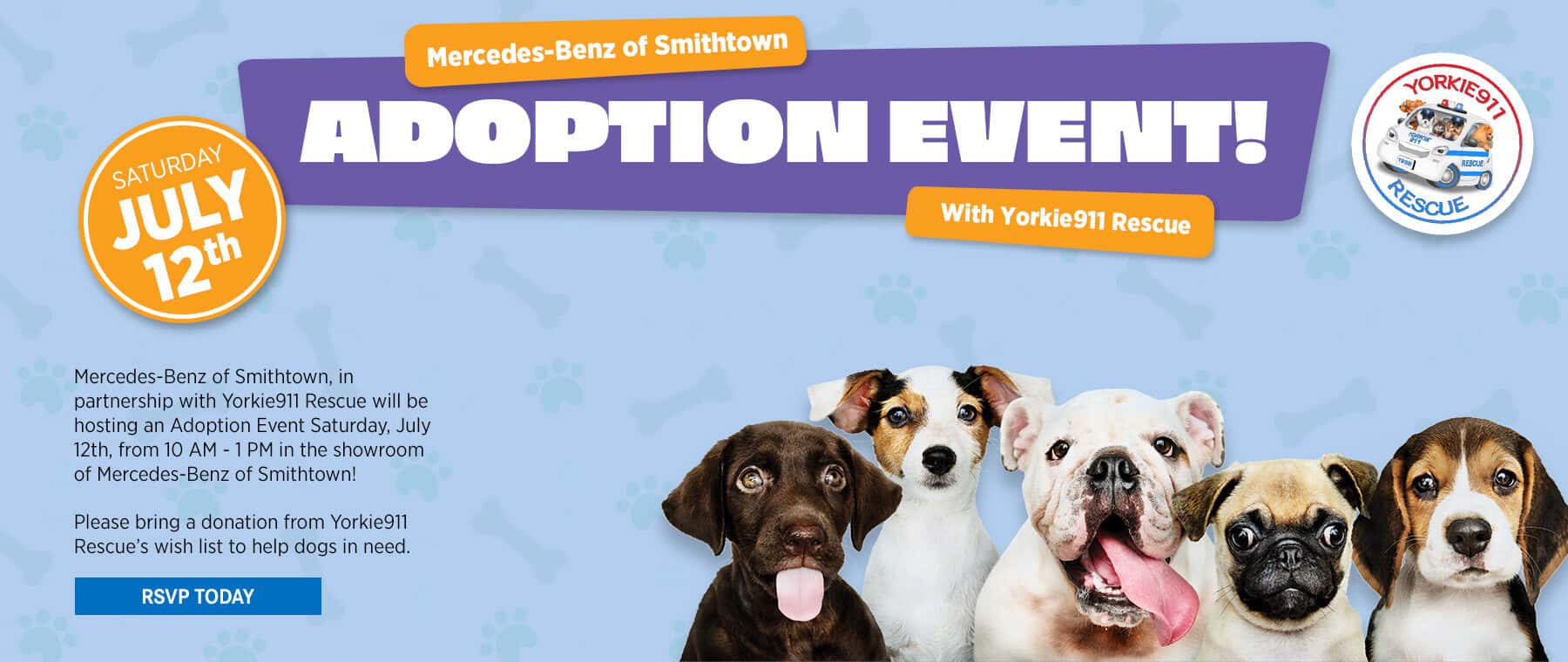 Homepage-Slider-MBS-Adoption-Event-Yorkie-2025